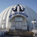 Мурманский океанариум, Мурманск