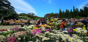 Никитский ботанический сад, Алушта