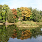 Городской парк культуры и отдыха, Орехово-Зуево