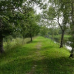 Луговой парк, Петергоф