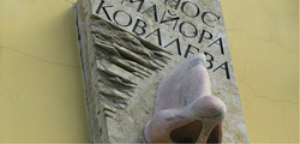 Нос майора Ковалева