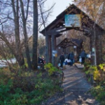 Родник Ивушка, Пушкино