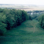 Городище Боровский курган, Раменское