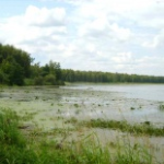 Озеро Тростенское, Руза