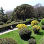 Сакский курортный парк, Саки