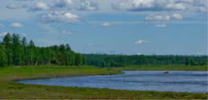 Тунгусский заповедник