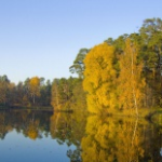 Озеро Бездонное, Солнечногорск