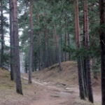 Парк культуры и отдыха, Сосновый Бор