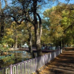Центральный Парк, Ставрополь