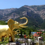 Ялтинский зоопарк Сказка, Ялта
