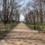 Парк имени Морица Беккера, Янтарный