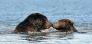 Курильское озеро