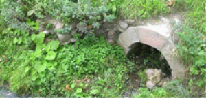 Александровский источник