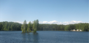 Осиновая Роща