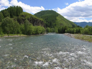 Река Коргон