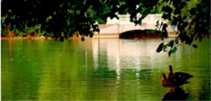 Кратово