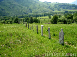 Царский курган на Алтае
