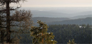 Башкирский заповедник