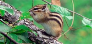 Национальный парк Башкирия