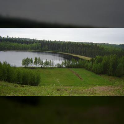 21529054.jpg